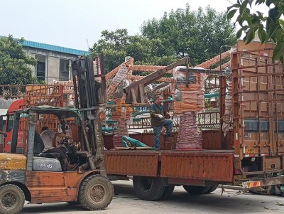 3 sets of hydraulic casting manipulator completed test and began delivery